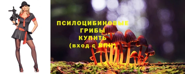 меф Майский
