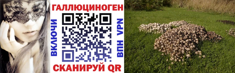 Галлюциногенные грибы прущие грибы  мега ссылки  Артёмовский  как найти закладки 
